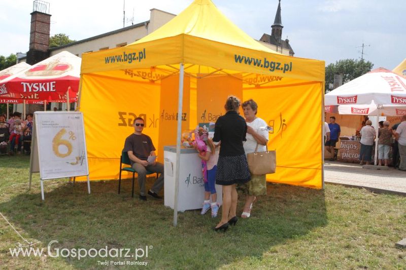 XI Święto Gęsi w Biskupcu