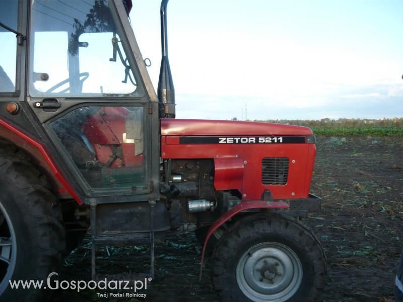 Buraki 2011