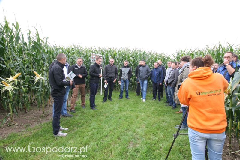 Poletka doświadczalne Caussade Nasiona w Dziećmiarkach 2017