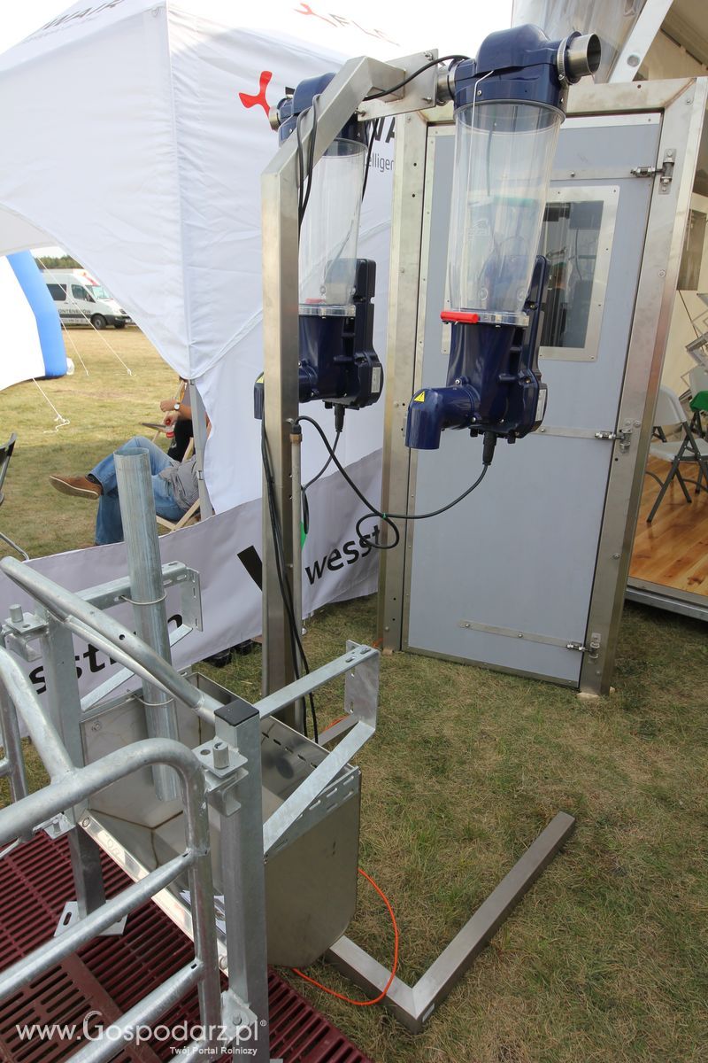 AGRO SHOW Bednary 2016 - Piątek