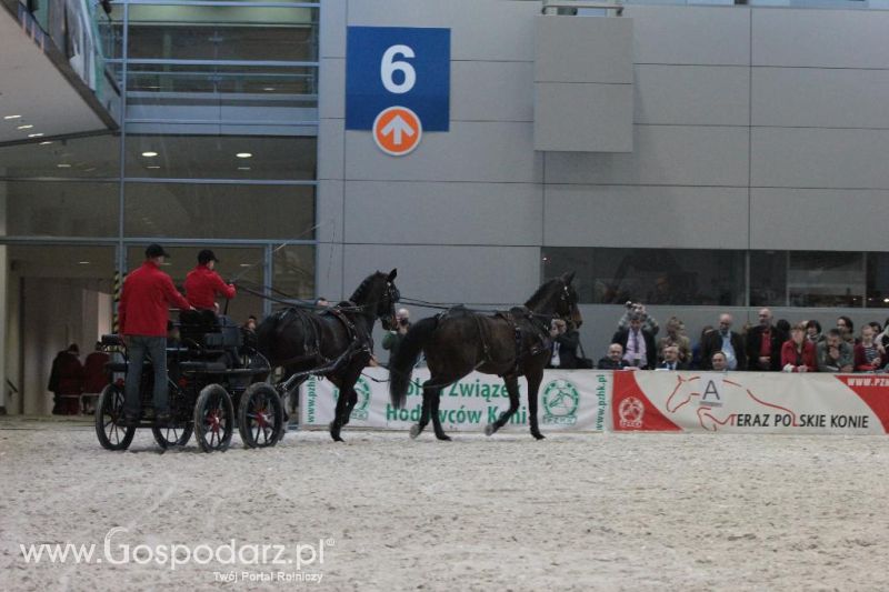 CAVALIADA 2013 w Poznaniu