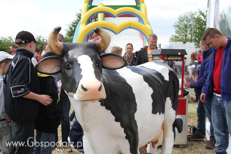 Majówka z Zetorem w Brzeziu