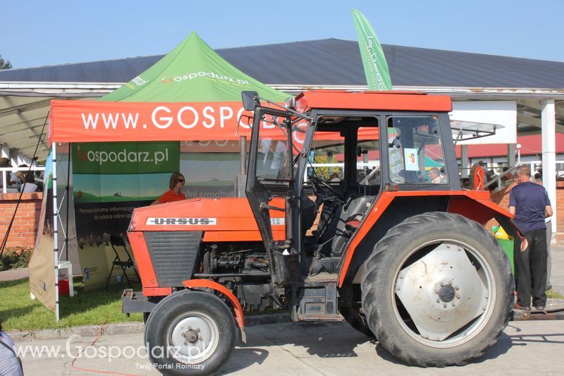 Ogólnopolski Festiwal Wieprzowiny w Sielinku