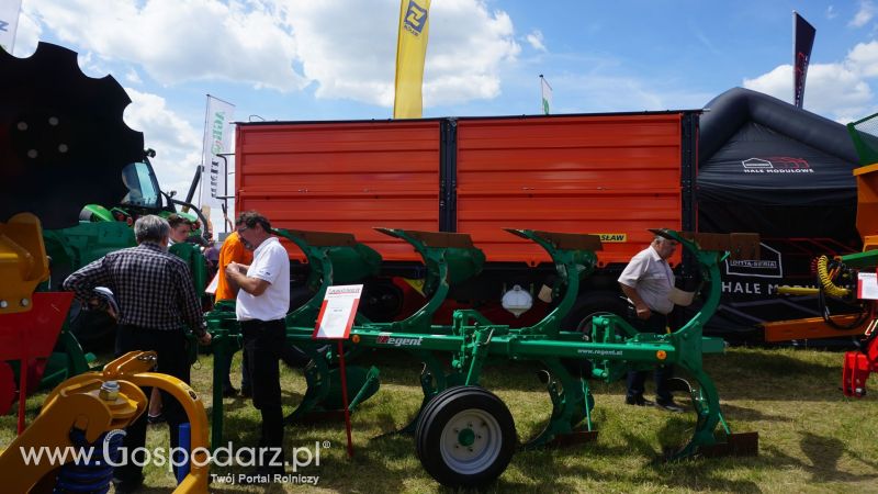 Opolagra 2017