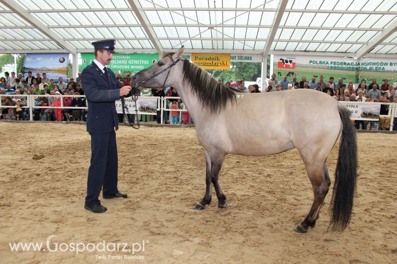 Czempioni XVII Regionalnej Wystawy Zwierząt Hodowlanych Sielinko 2011