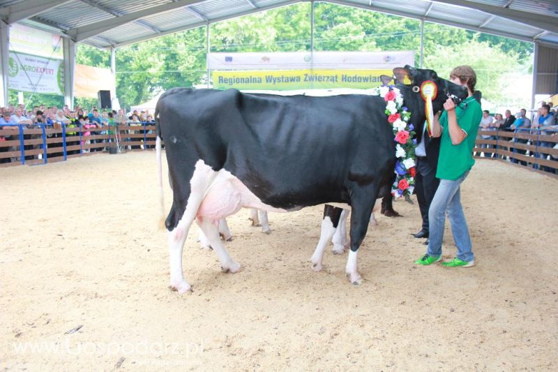 Regionalna Wystawa Zwierząt Hodowlanych i Dni z Doradztwem Rolniczym w Szepietowie-niedziela