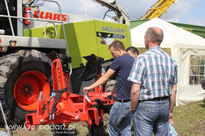 Regionalna Wystawa Zwierząt Hodowlanych i Dni z Doradztwem Rolniczym w Szepietowie-sobota