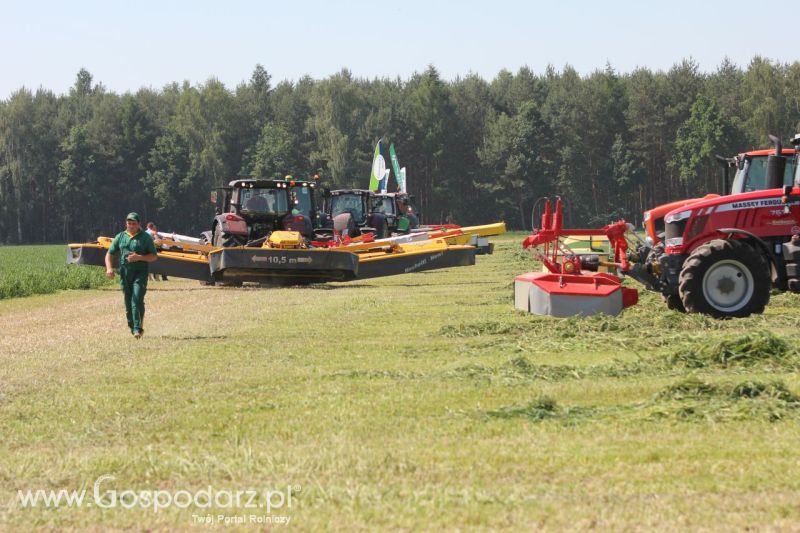 Zielone AGRO SHOW – POLSKIE ZBOŻA 2014 w Sielinku - niedziela