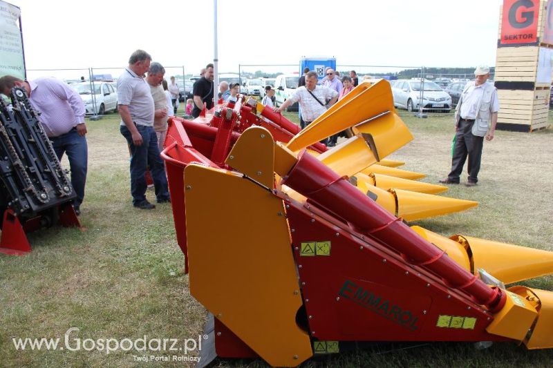 Emmarol na Opolagrze 2013