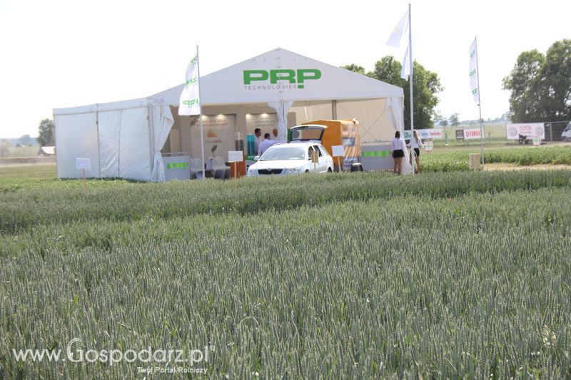Polskie Zboża 2011 - Sobota