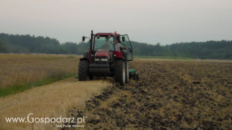 Talerzowane 2013 