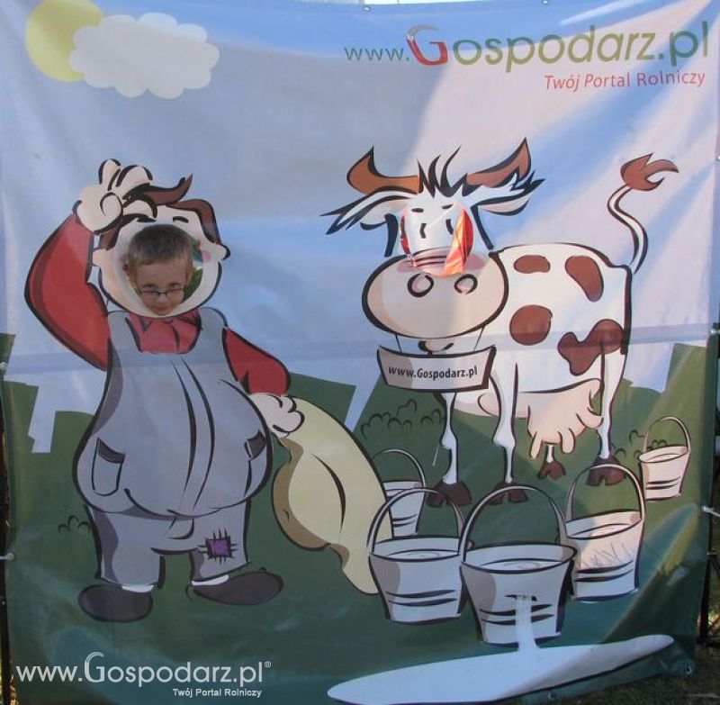 Agro Show 2011 Bednary Zdjęcie z krówką Sobota