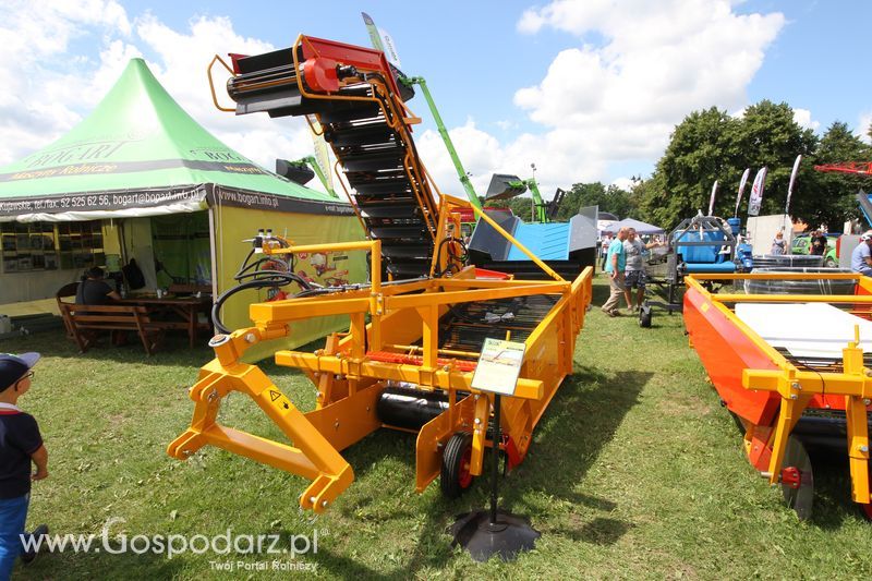 Bogart na Agro-Tech w Minikowie 2016