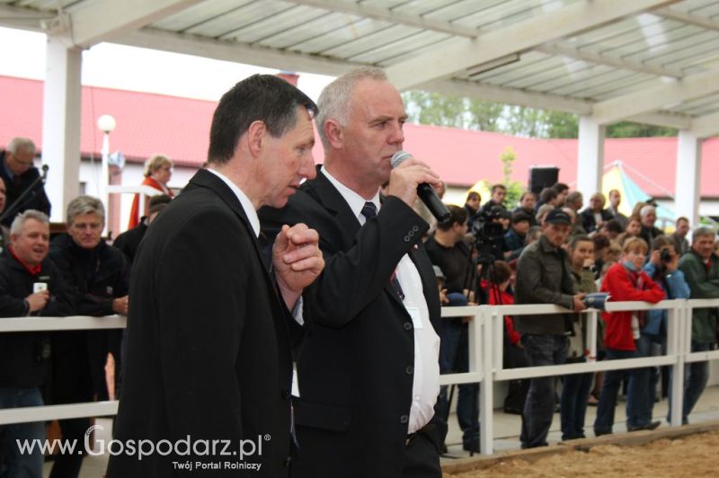 VII Ogólnopolska Wystawa Bydła Hodowlanego - Sielinko 2012