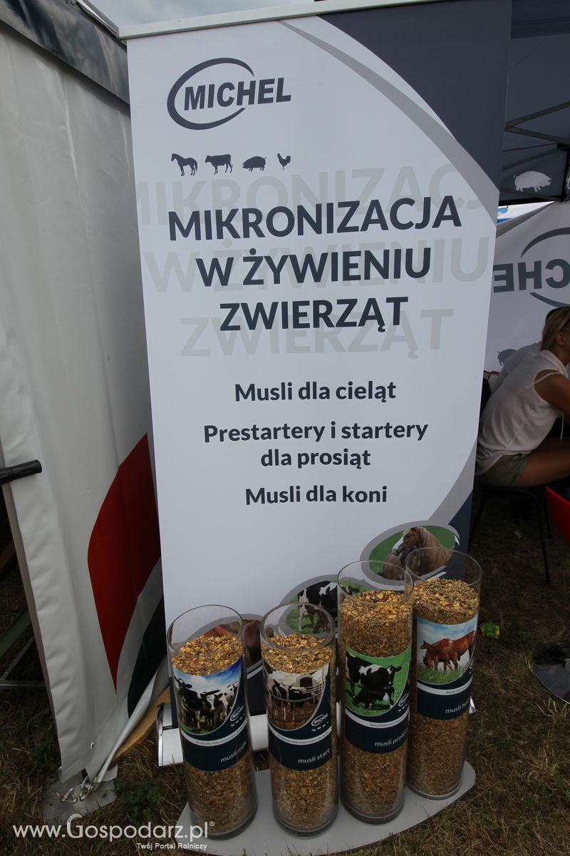 Michel na OPOLAGRZE 2015