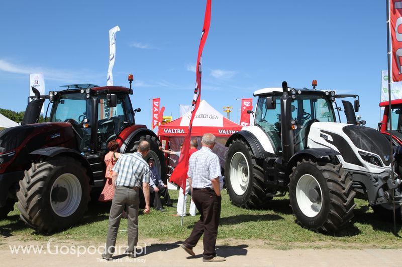 Targi rolne w Szepietowie (27-28.06.2015)