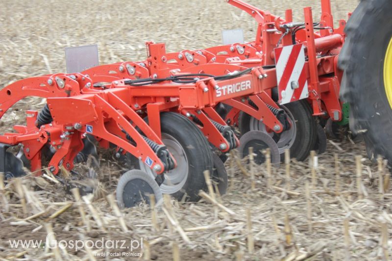 Kultywator STRIGER do uprawy pasowej