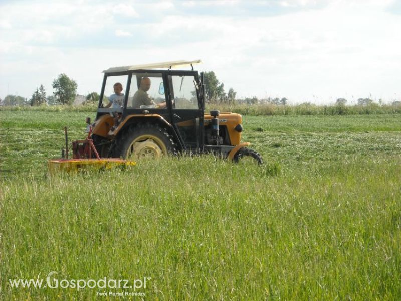 pierwsze sianokosy w roli głownej ursus c330M...