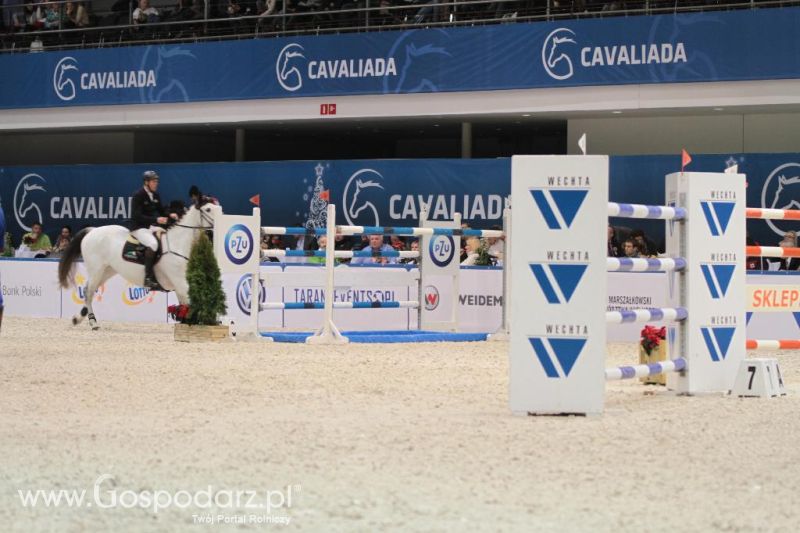 CAVALIADA 2013 w Poznaniu