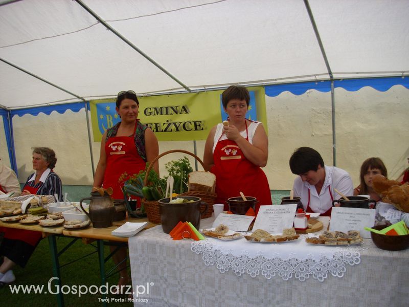 I Festiwal Mięsa Wieprzowego w Bełżycach