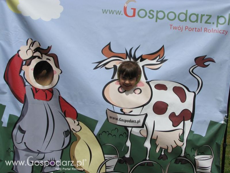 Wielkopolskie Targi Rolnicze „Sielinko 2011”  - Krówka Gospodarza