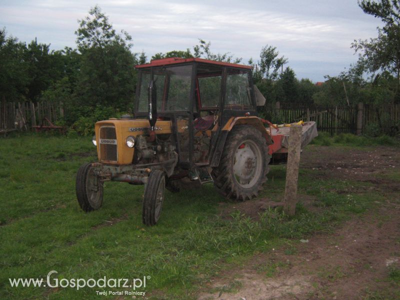 głowna