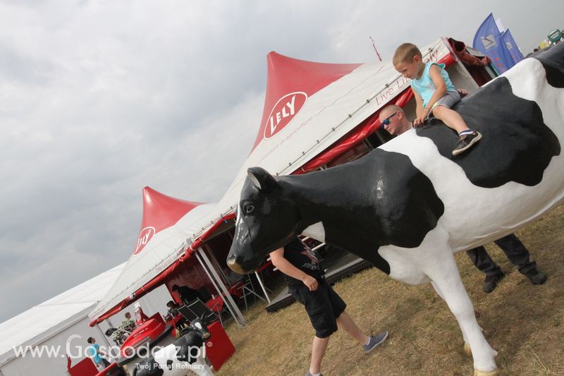 Lely na OPOLAGRA Kamień Śląski 2018