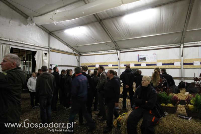 Wystawa  Blickpunkt Rind 2013 w miejscowości Paaren/Glien (Niemcy)