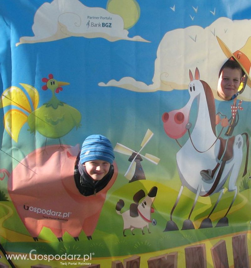 Zdjęcia ze świnką na Agro Show 2012 niedziela