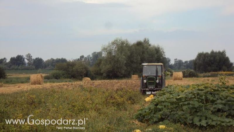 Wspomnienia 2013r.