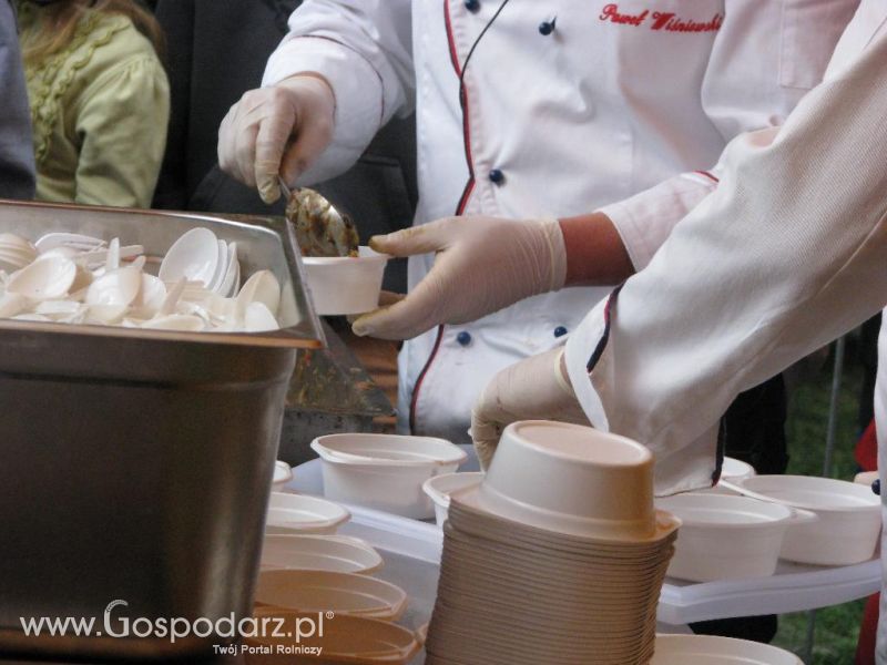 Festiwal Wieprzowiny w Koźminie Wielkopolskim 2013