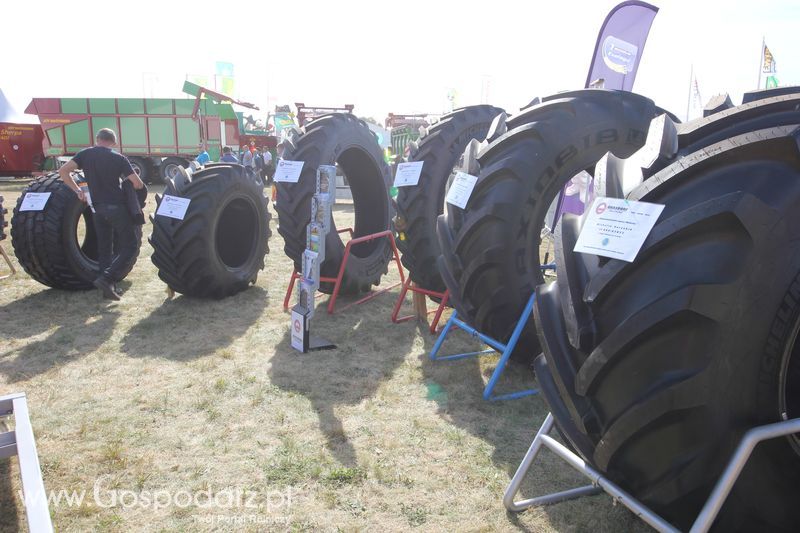 Grasdorf na AGRO SHOW 2016