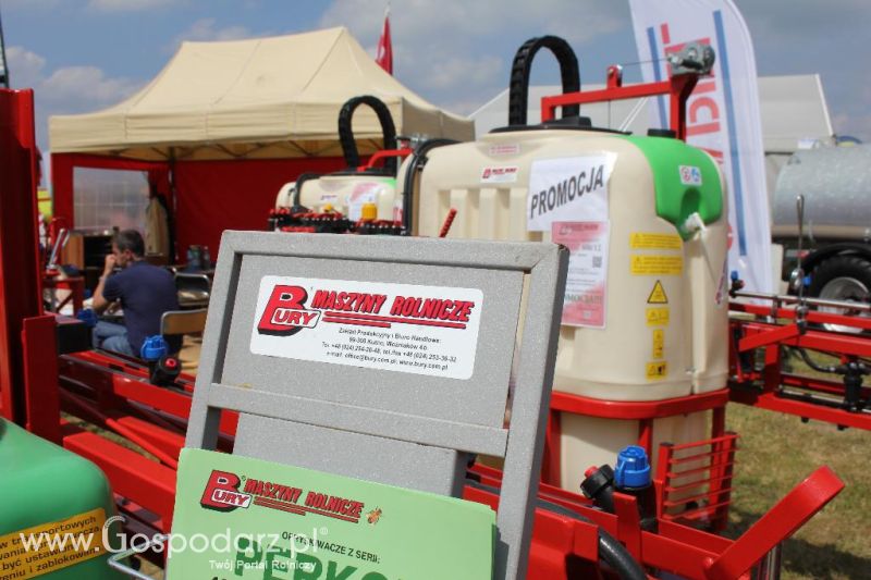 Bury na Opolagrze 2013