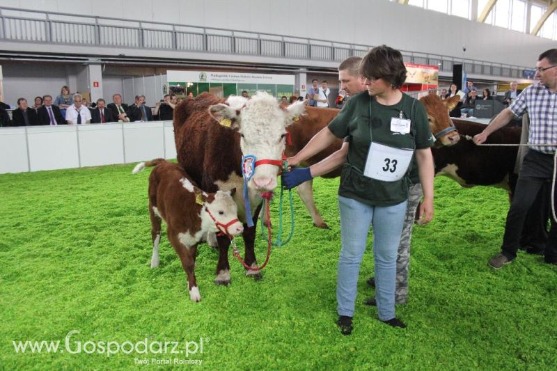 XXVI Krajowa Wystawa Zwierząt Hodowlanych - sobota i niedziela