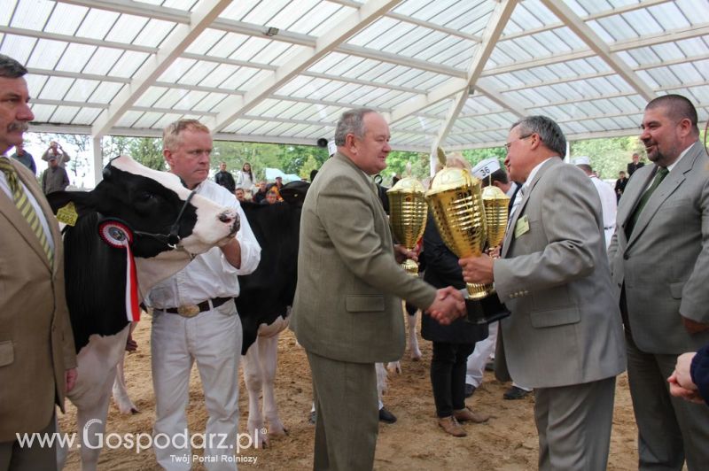 Championi VII Ogólnopolskiej Wystawy Bydła Hodowlanego - Sielinko 2012