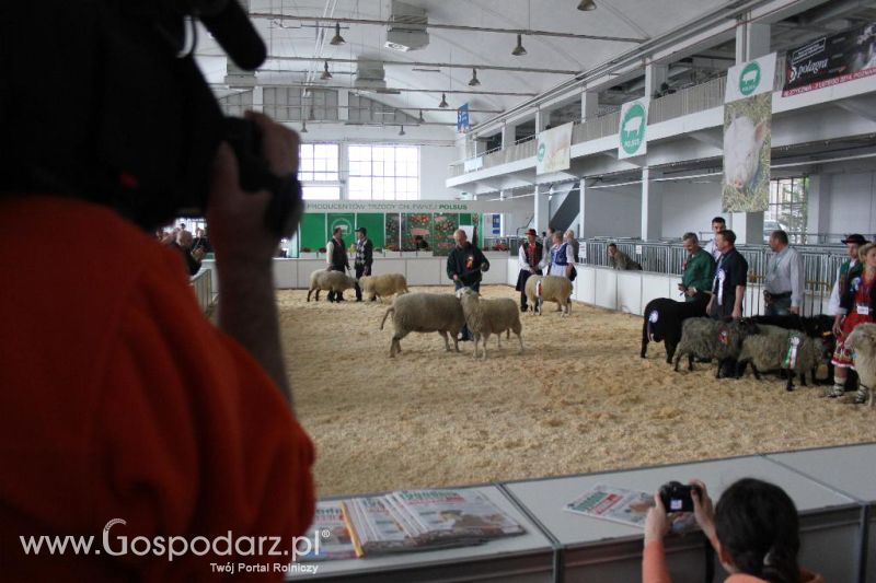 XXVI Krajowa Wystawa Zwierząt Hodowlanych - sobota i niedziela