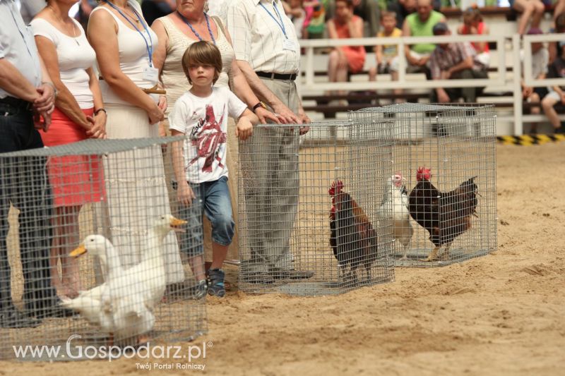 Zielone AGRO SHOW – POLSKIE ZBOŻA 2014 w Sielinku - niedziela