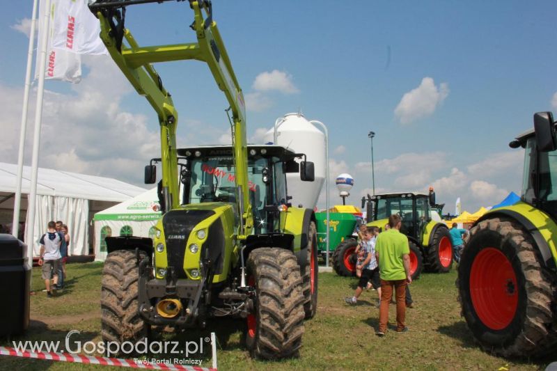 Regionalna Wystawa Zwierząt Hodowlanych i Dni z Doradztwem Rolniczym w Szepietowie-niedziela