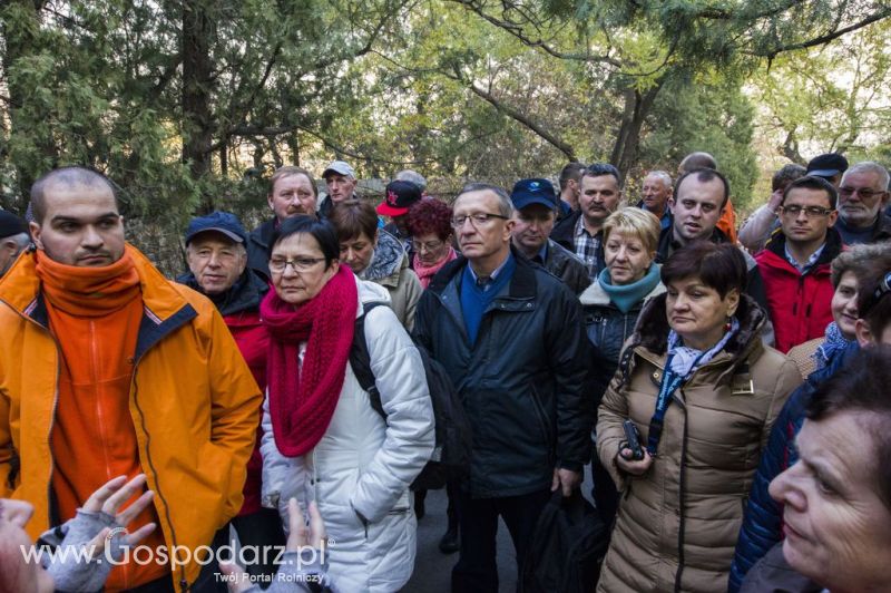 Gospodarz.pl w Chinach