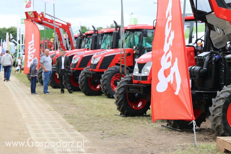 Zetor na Regionalnej Wystawie Zwierząt Hodowlanych i Dni z Doradztwem w Szepietowie 2017