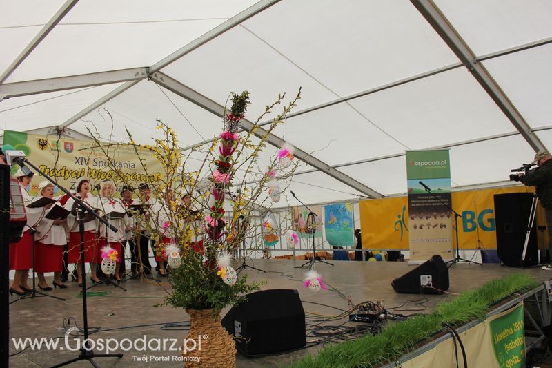 XIV Spotkania Tradycji Wielkanocnych Ziemi Kłodzkiej - występy