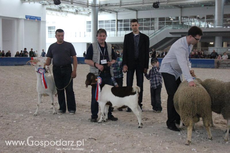 XXVI Krajowa Wystawa Zwierząt Hodowlanych - sobota i niedziela