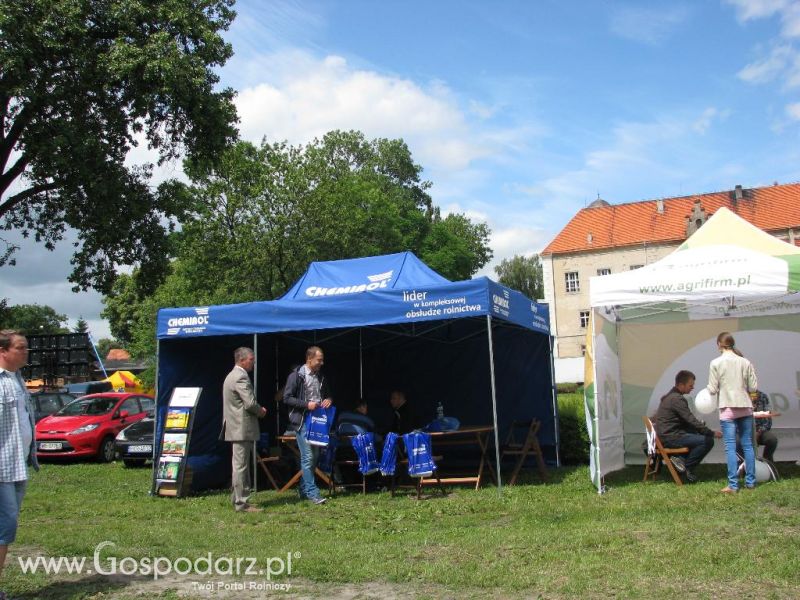 Festiwal Wieprzowiny w Koźminie Wielkopolskim 2013