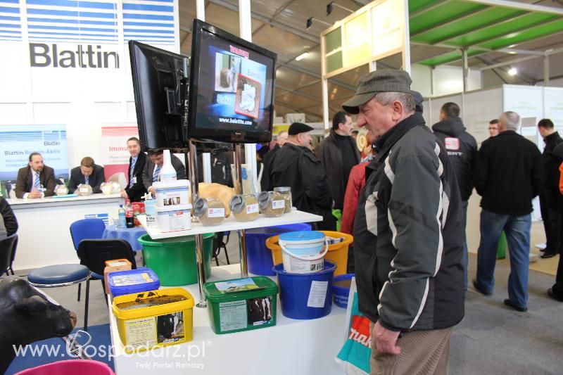 Blattin na AGROTECH Kielce 2013