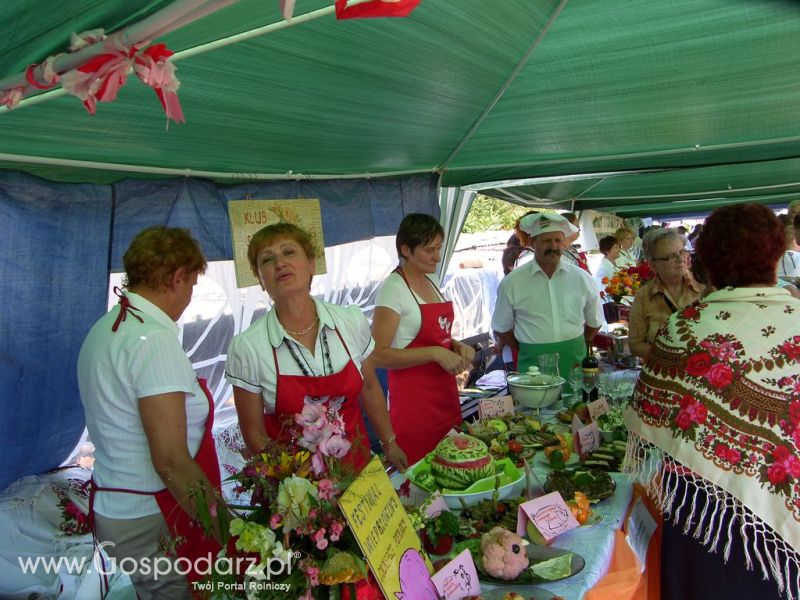 Festiwal Wieprzowiny Targowisko Dolne k/Lubawy 2012