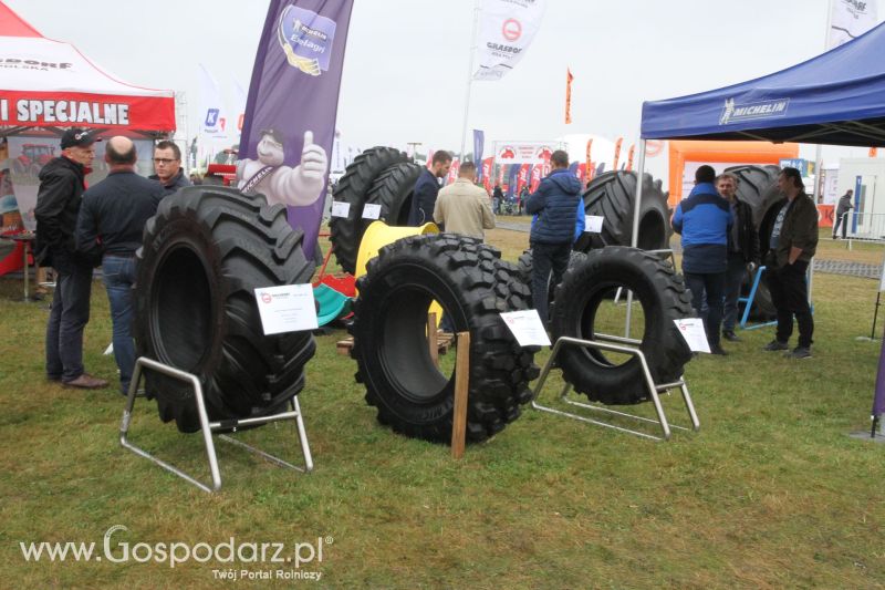 Grasdorf na AGRO SHOW BEDNARY 2017