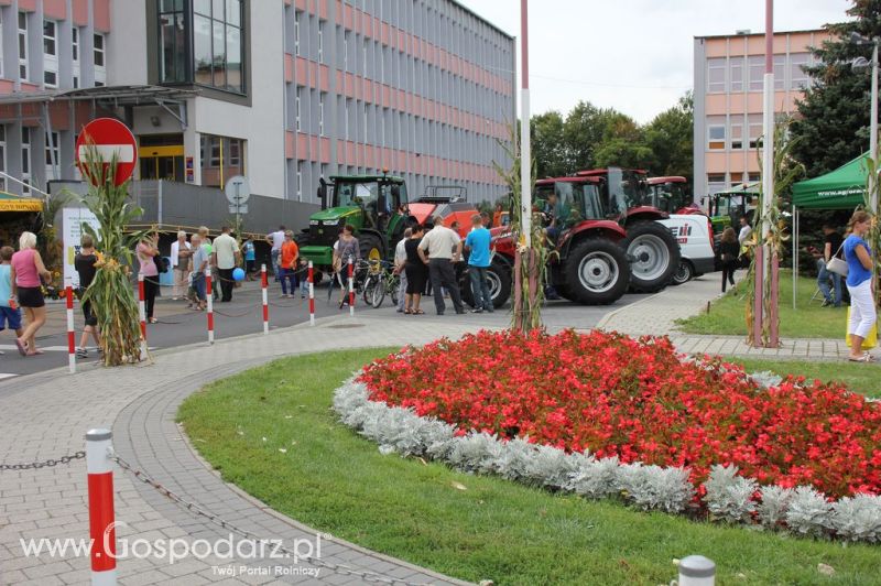 XIV Wojewódzko-Diecezjalne Dożynki Wielkopolskie w Ostrowie Wielkopolskim