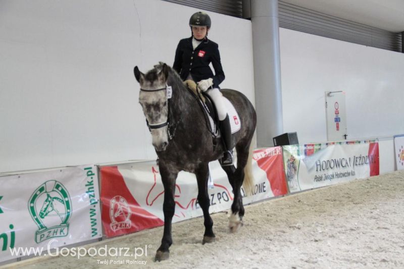 CAVALIADA 2013 w Poznaniu