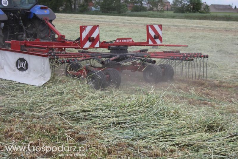 Pokazy polowe Romanów k/Krotoszyna