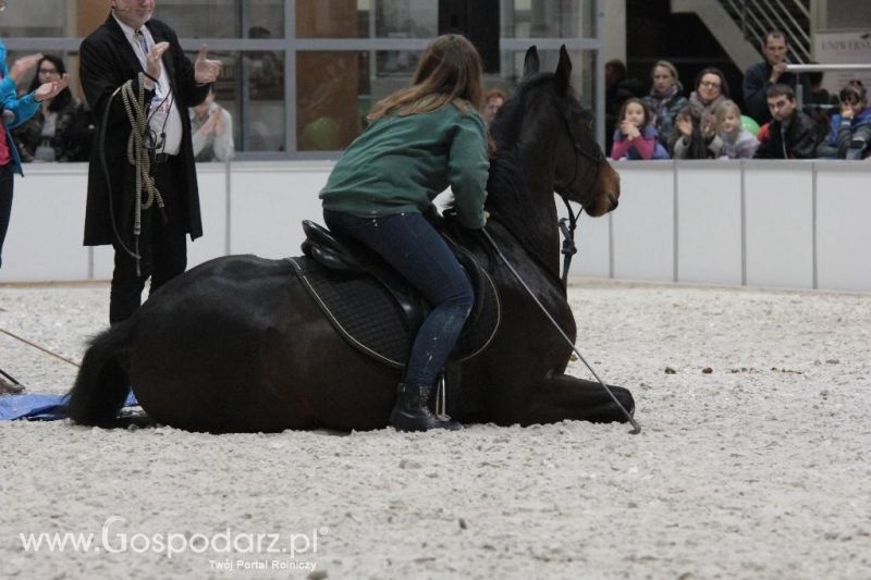 CAVALIADA 2013 w Poznaniu